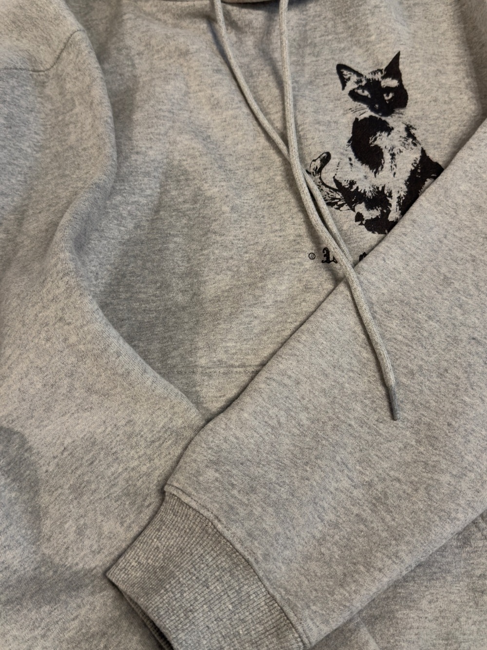 We Are Family Gray Cat Graphic Hoodie - Pets Cat Apparel - Picture 6 of 6